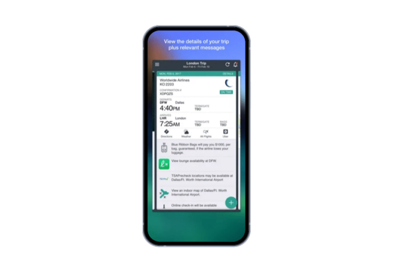 Corporate travel management software